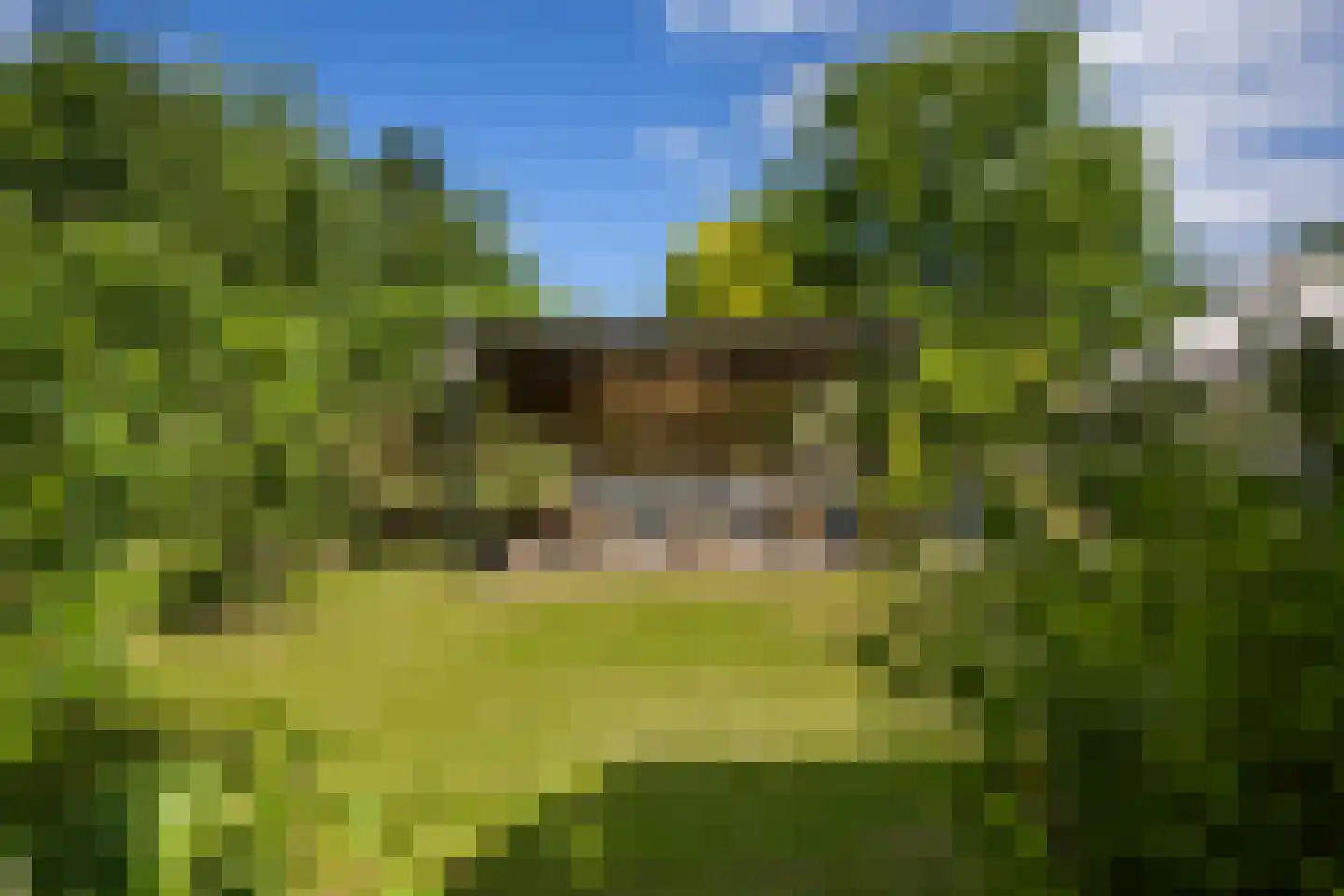 Streeksterpad 7 Wirdum thumbnail 52