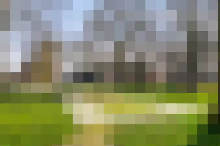 Streeksterpad 7 Wirdum thumbnail 52