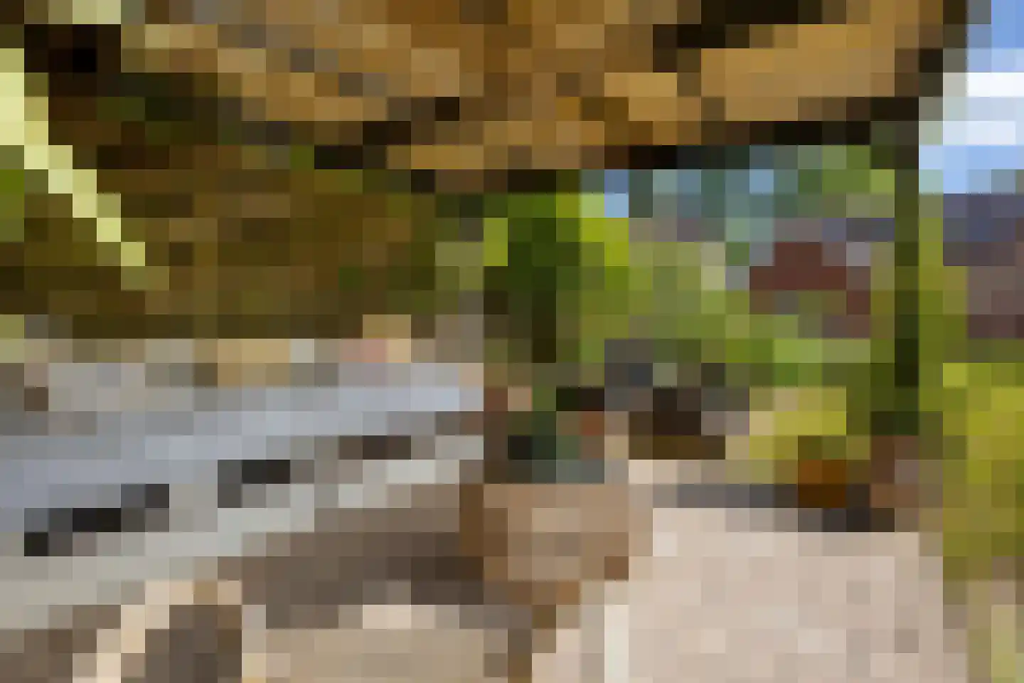 Streeksterpad 7 Wirdum thumbnail 53