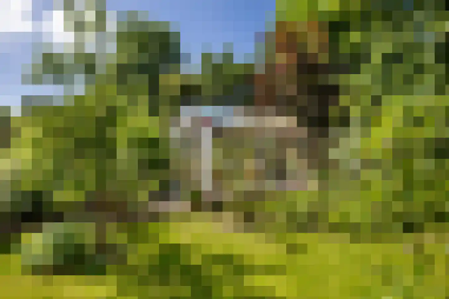 Streeksterpad 7 Wirdum thumbnail 54
