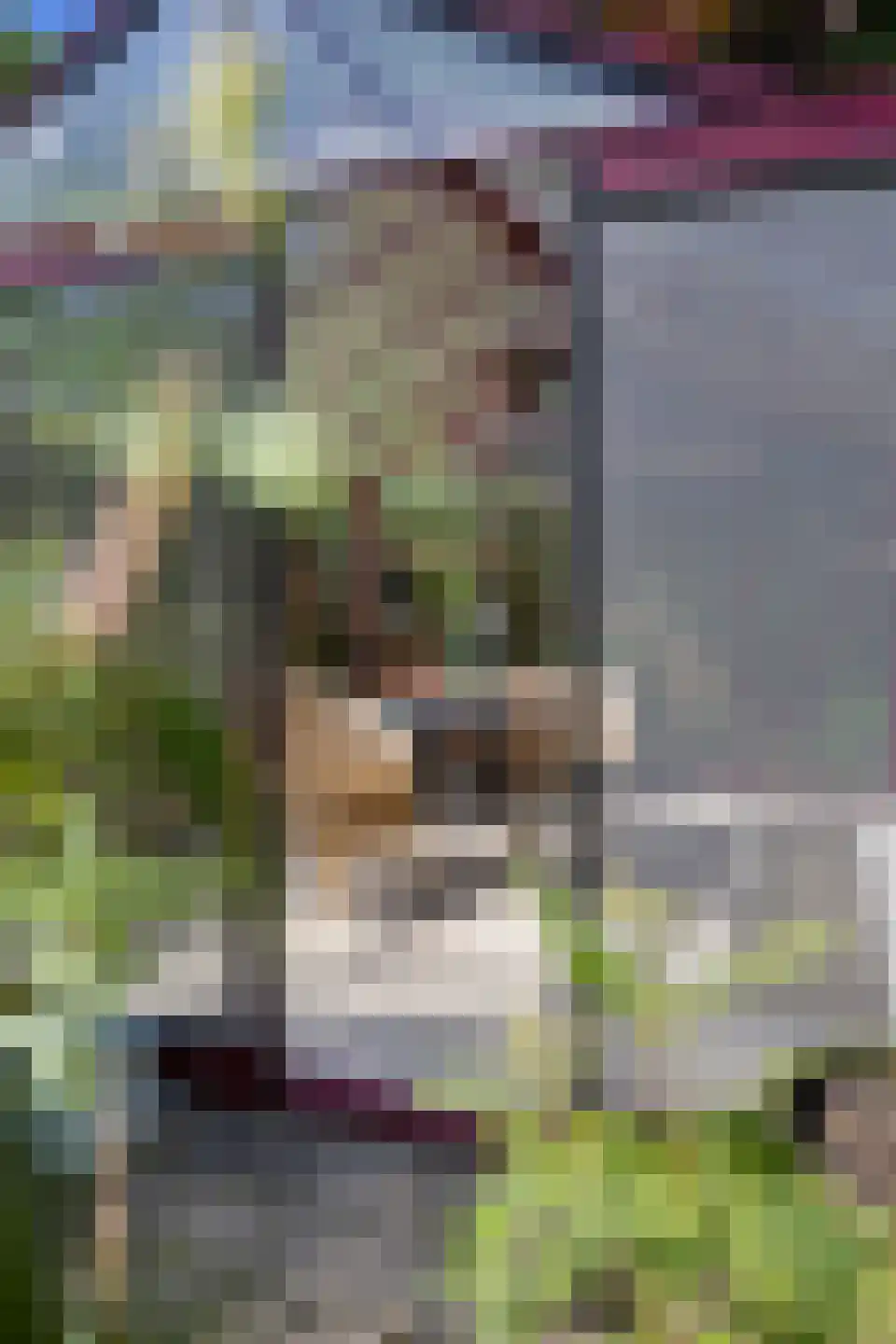 Streeksterpad 7 Wirdum thumbnail 55