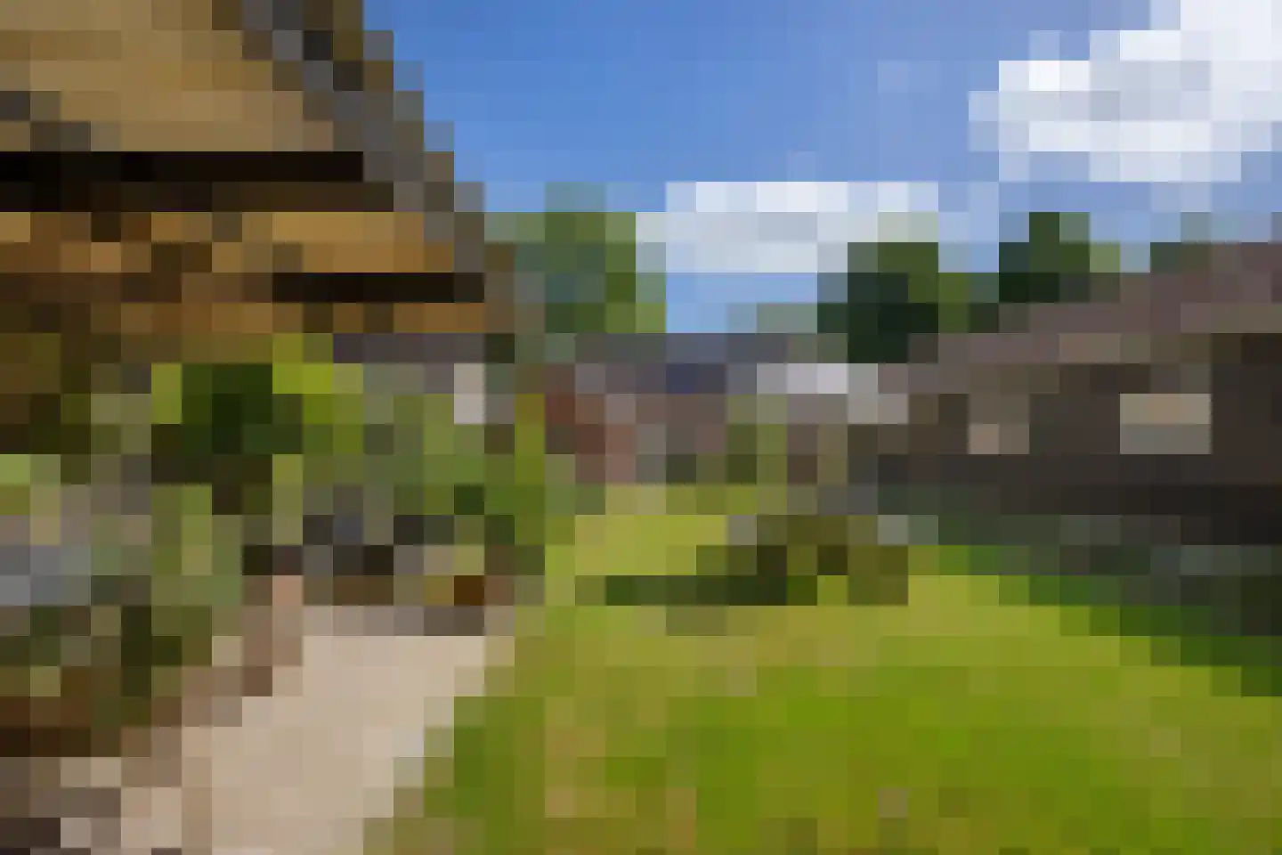 Streeksterpad 7 Wirdum thumbnail 57
