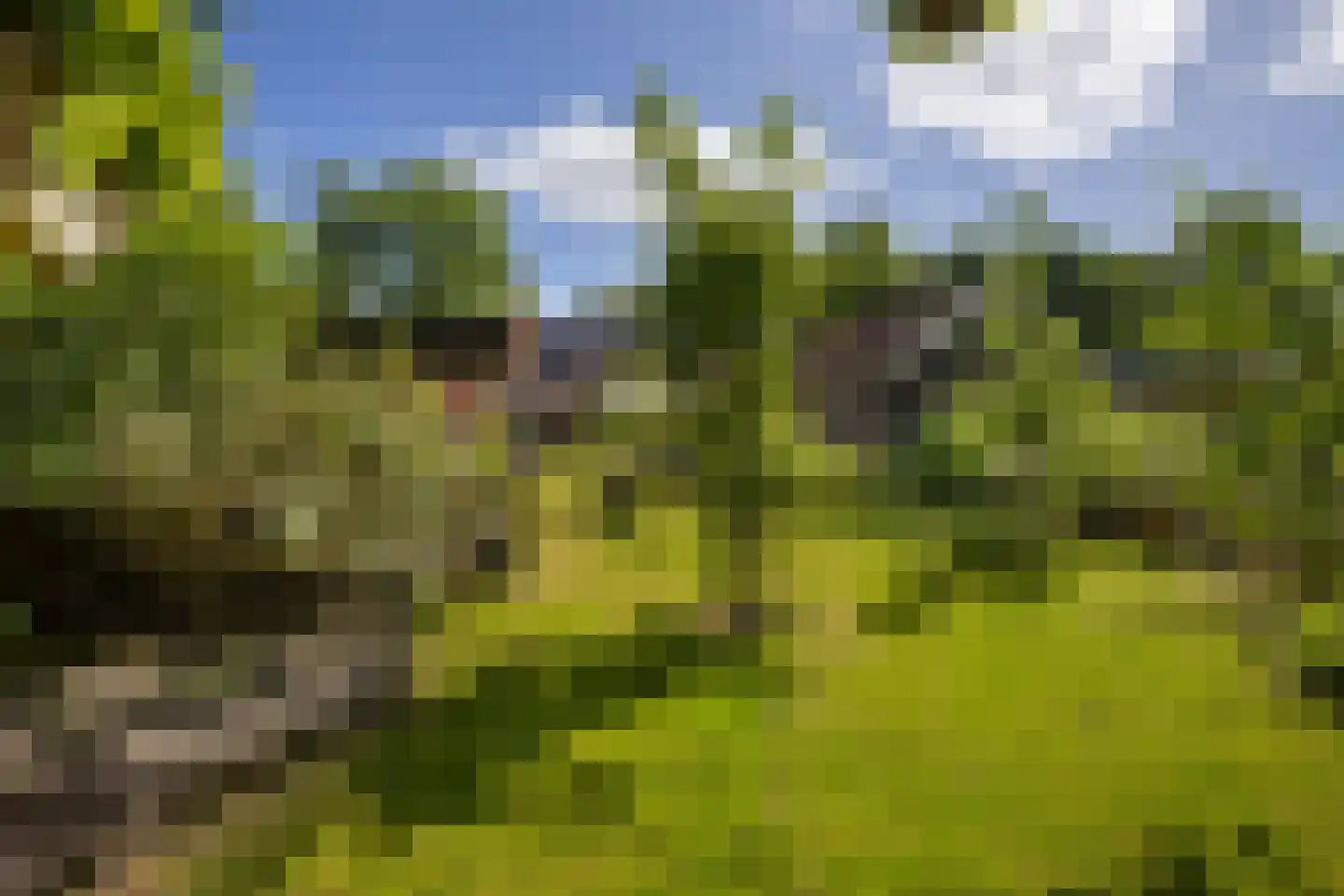 Streeksterpad 7 Wirdum thumbnail 9