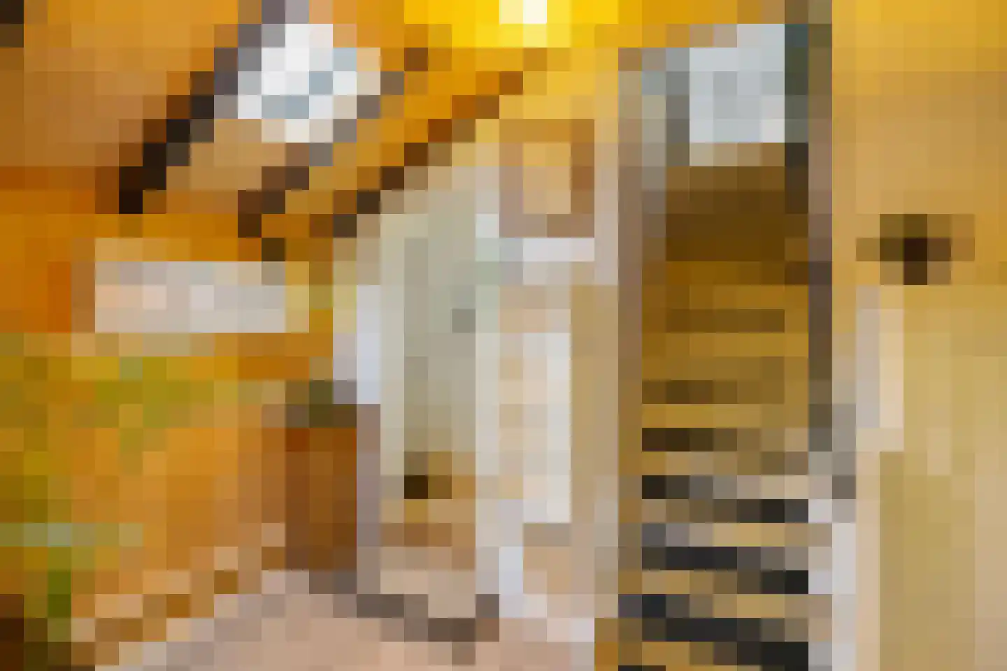 Streeksterpad 9 Wirdum thumbnail 22