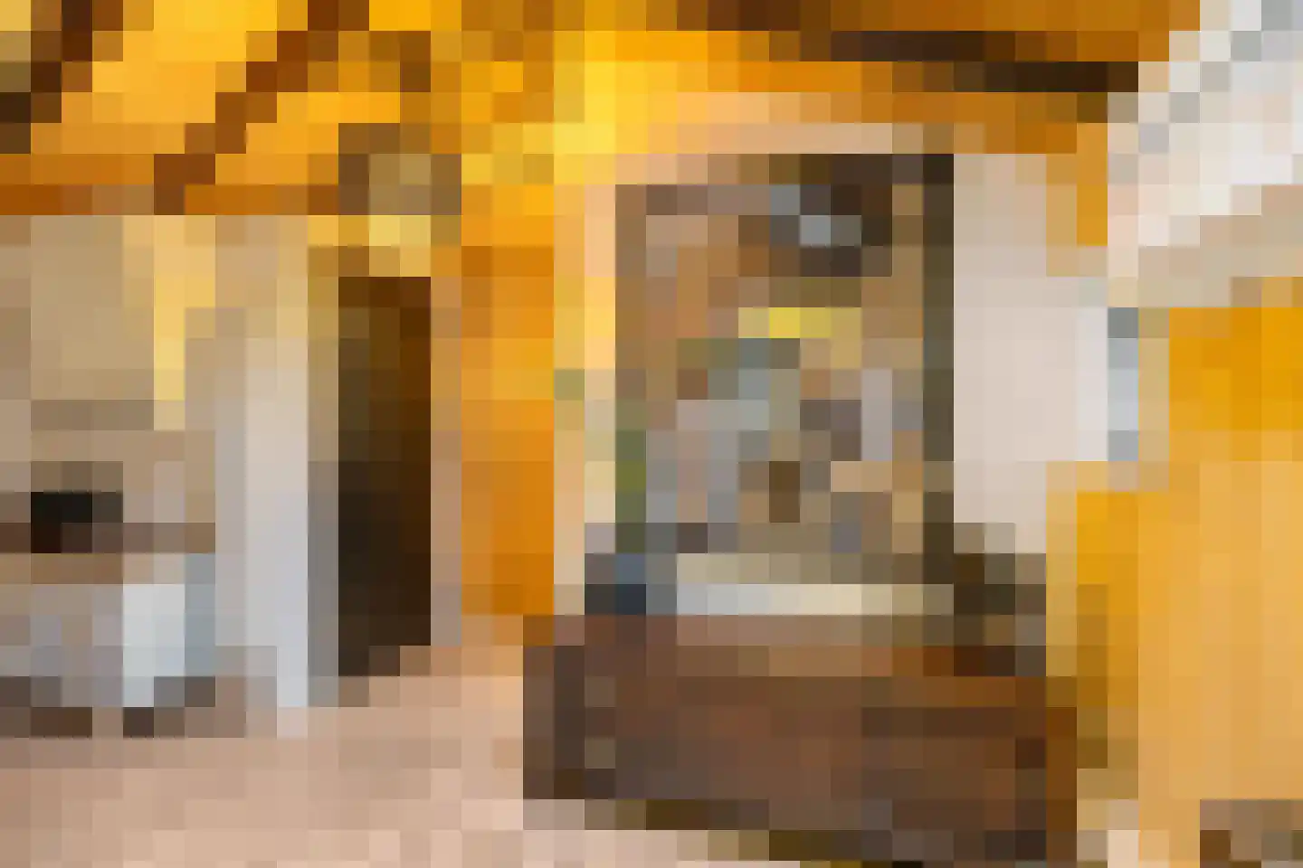 Streeksterpad 9 Wirdum thumbnail 23