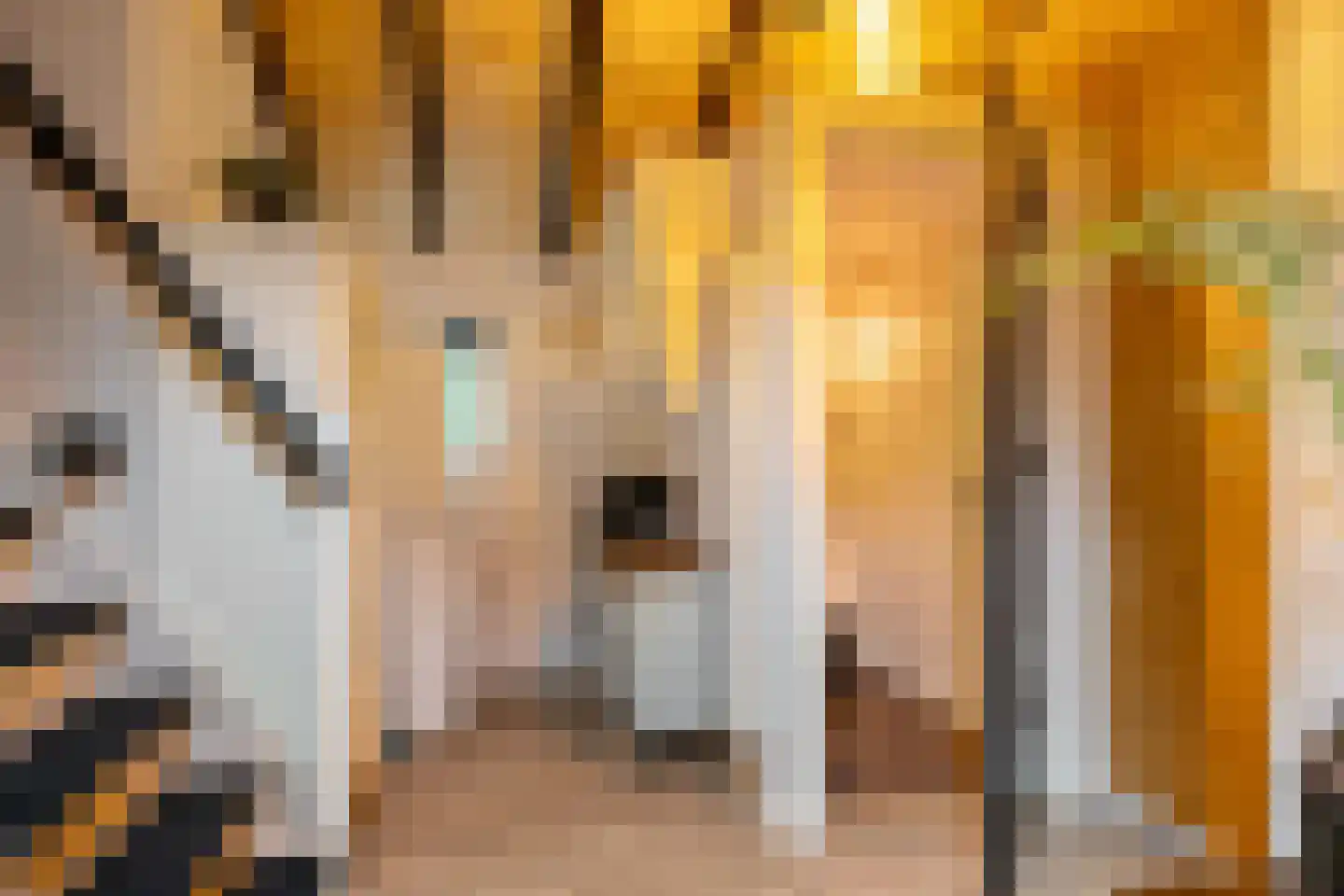 Streeksterpad 9 Wirdum thumbnail 24