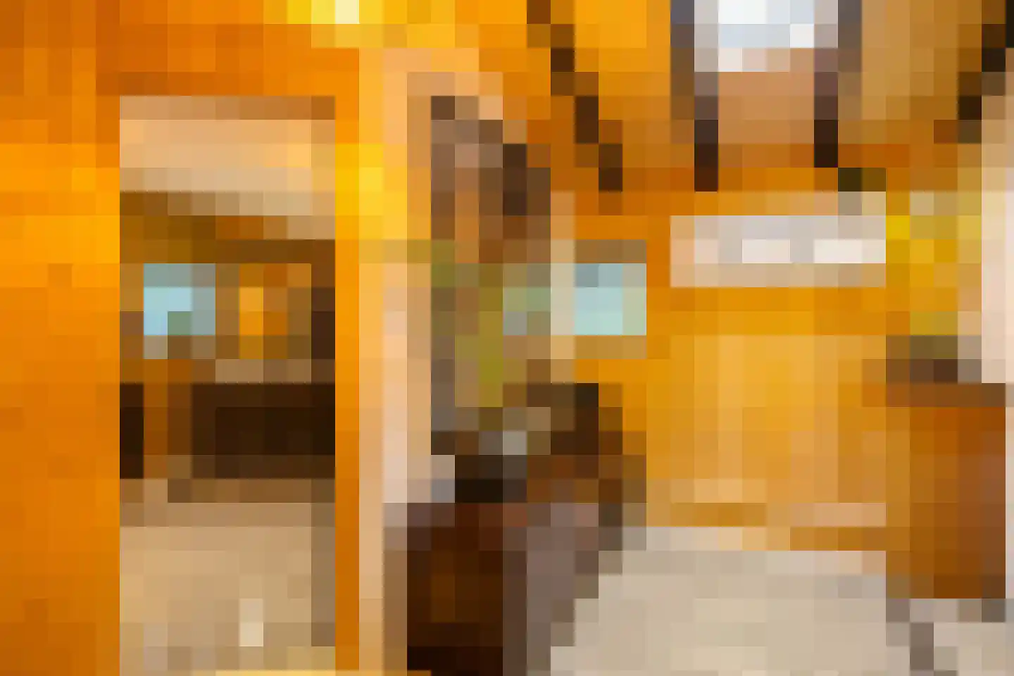 Streeksterpad 9 Wirdum thumbnail 26