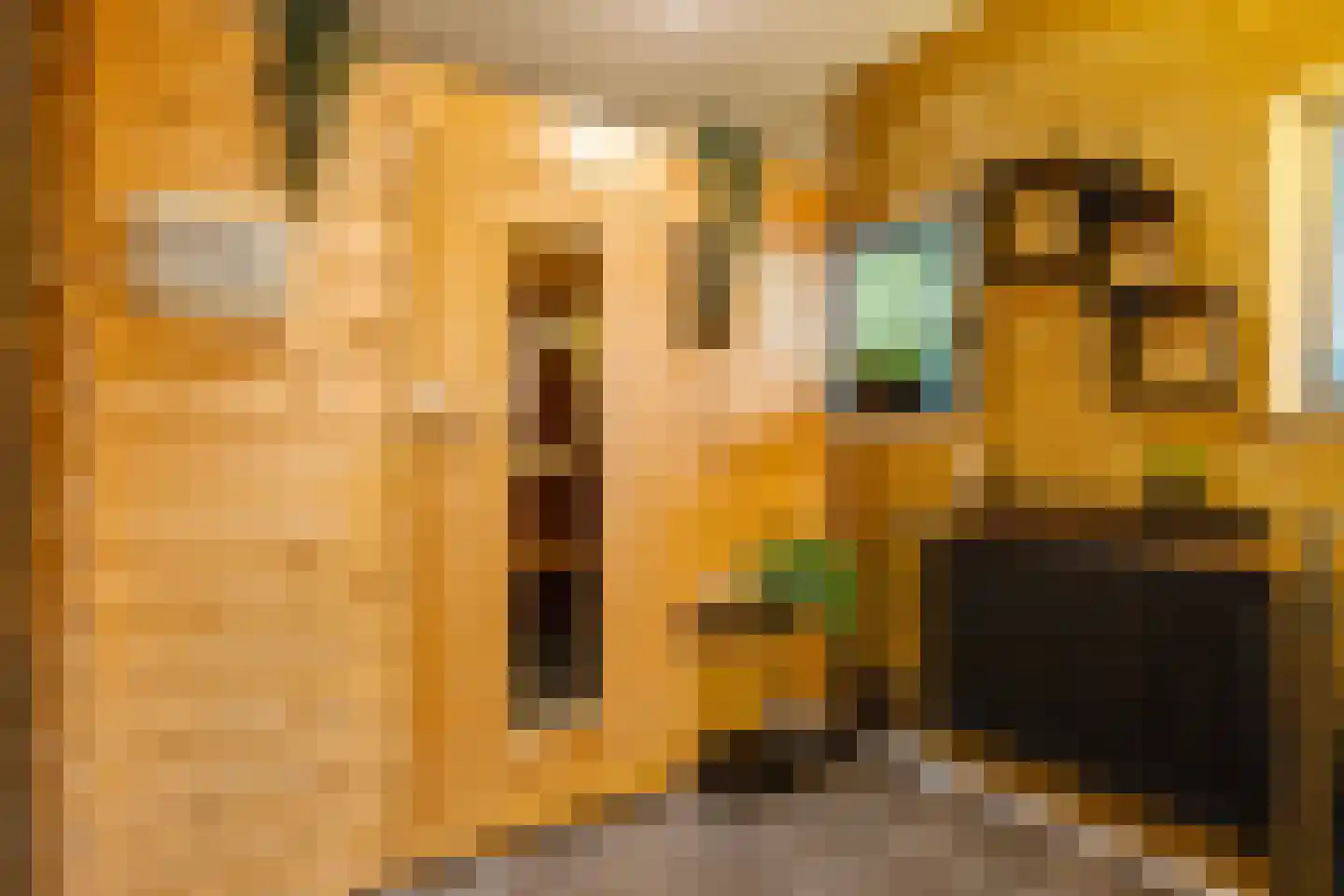 Streeksterpad 9 Wirdum thumbnail 28