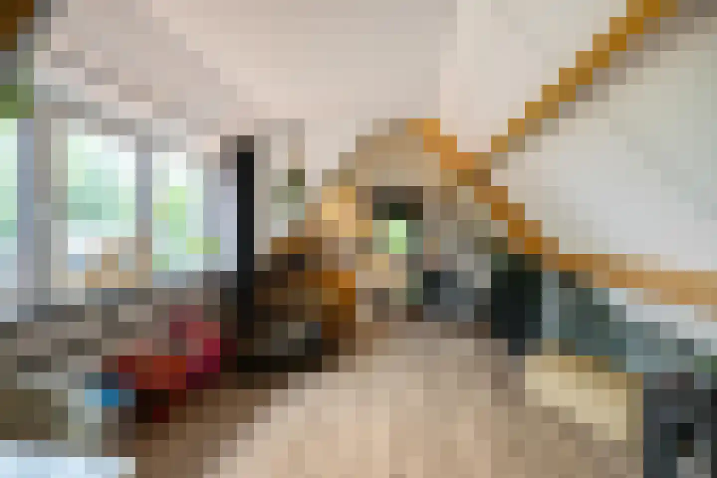 Streeksterpad 9 Wirdum thumbnail 33