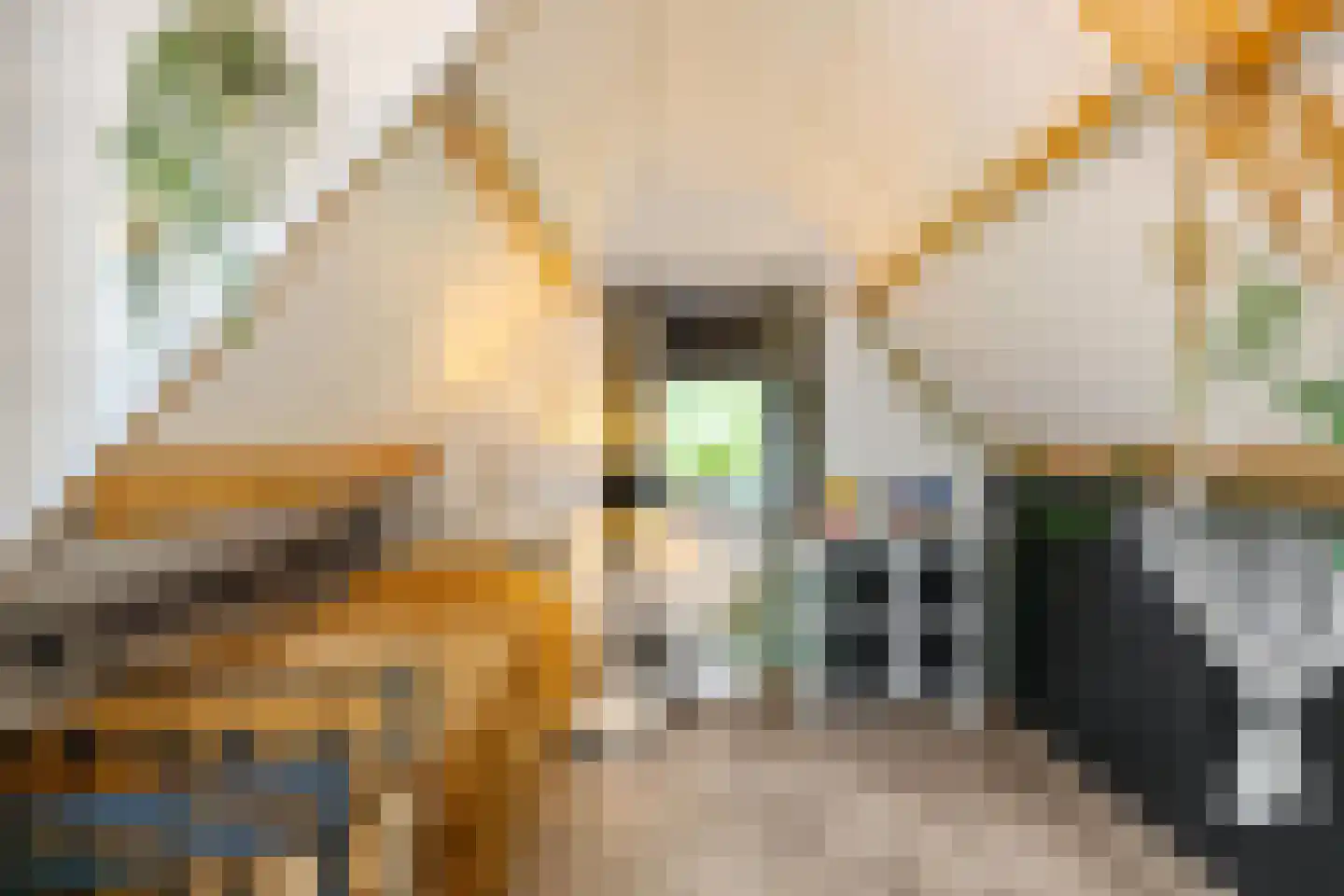 Streeksterpad 9 Wirdum thumbnail 34