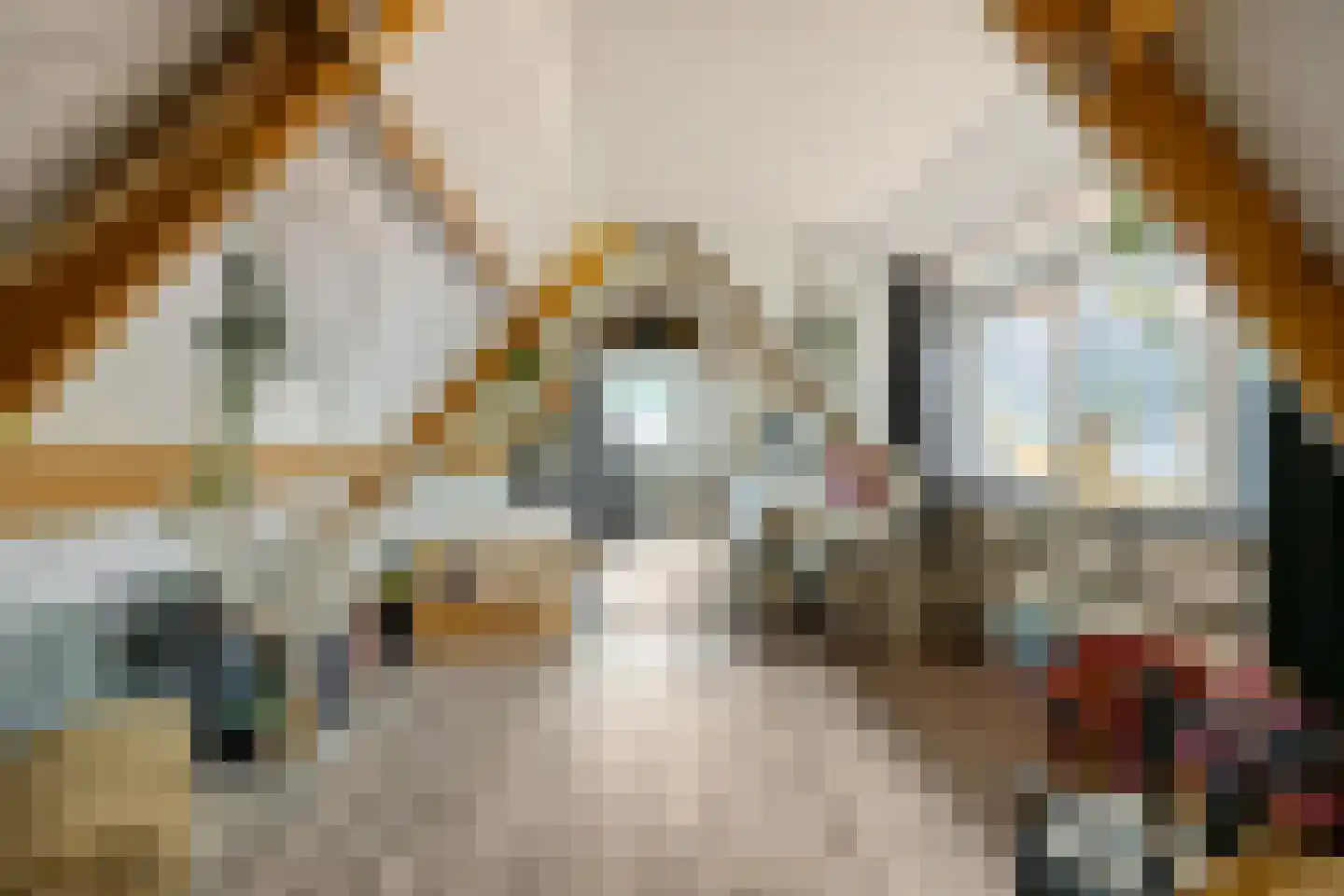 Streeksterpad 9 Wirdum thumbnail 35