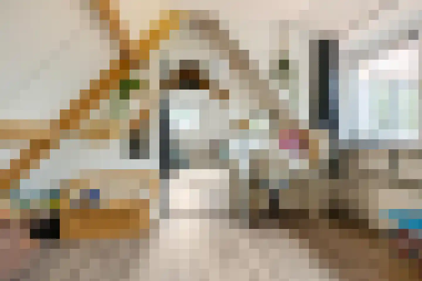 Streeksterpad 9 Wirdum thumbnail 36