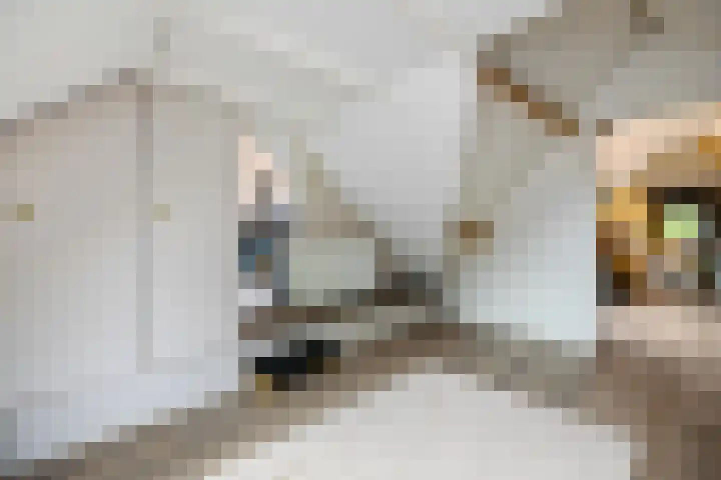 Streeksterpad 9 Wirdum thumbnail 39