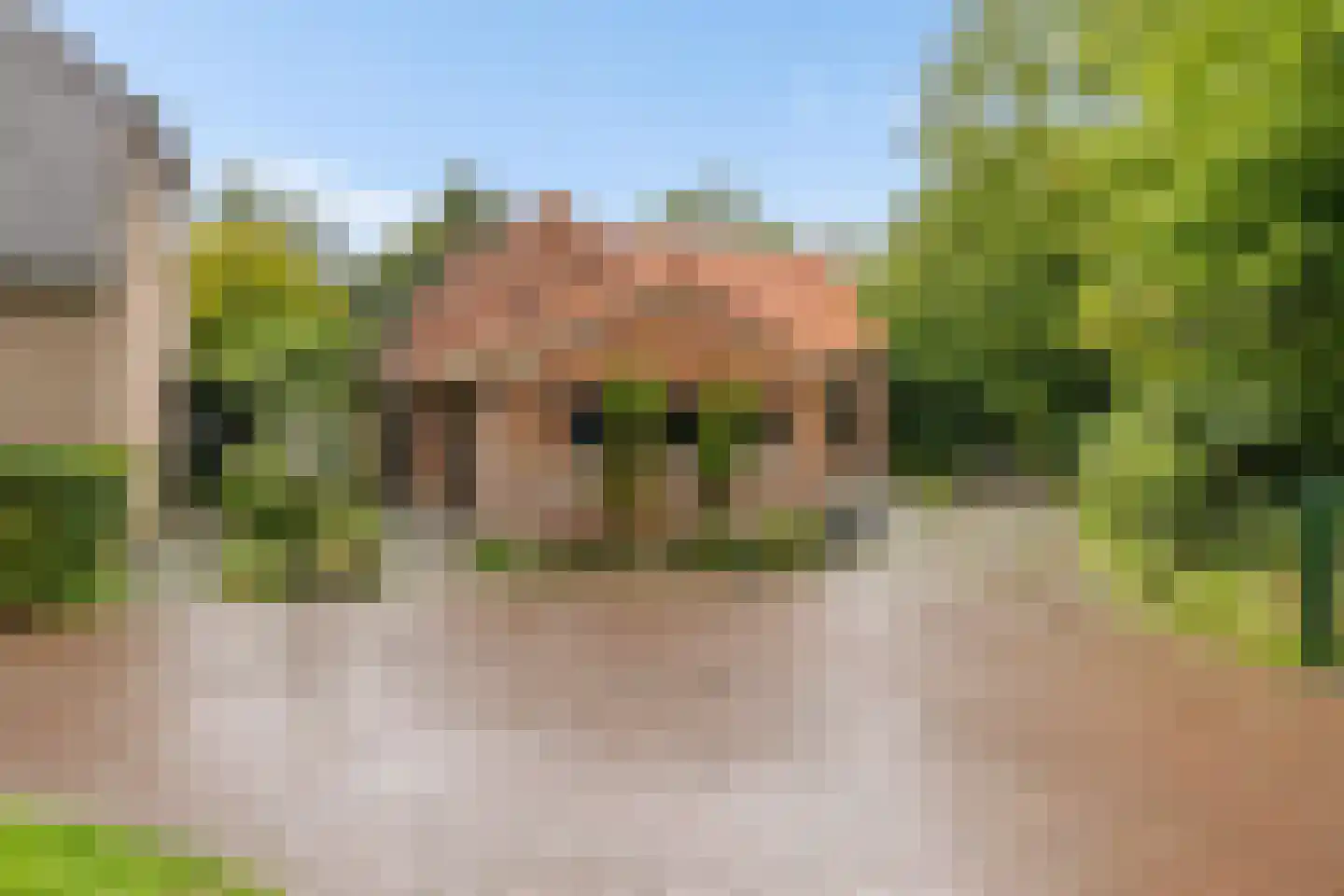Streeksterpad 9 Wirdum thumbnail 4
