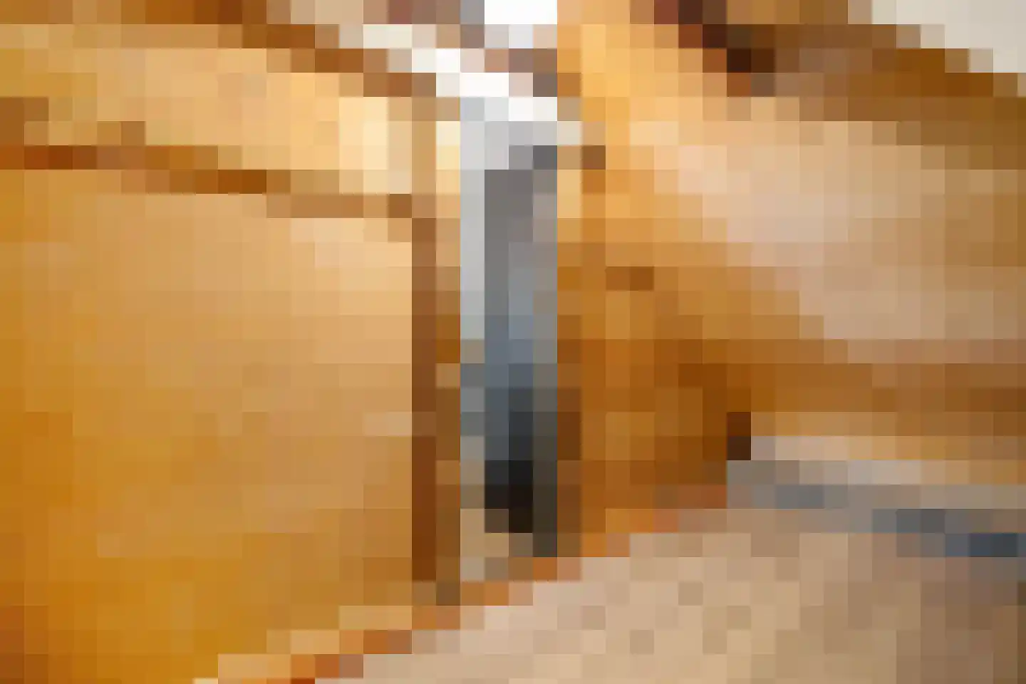 Streeksterpad 9 Wirdum thumbnail 45