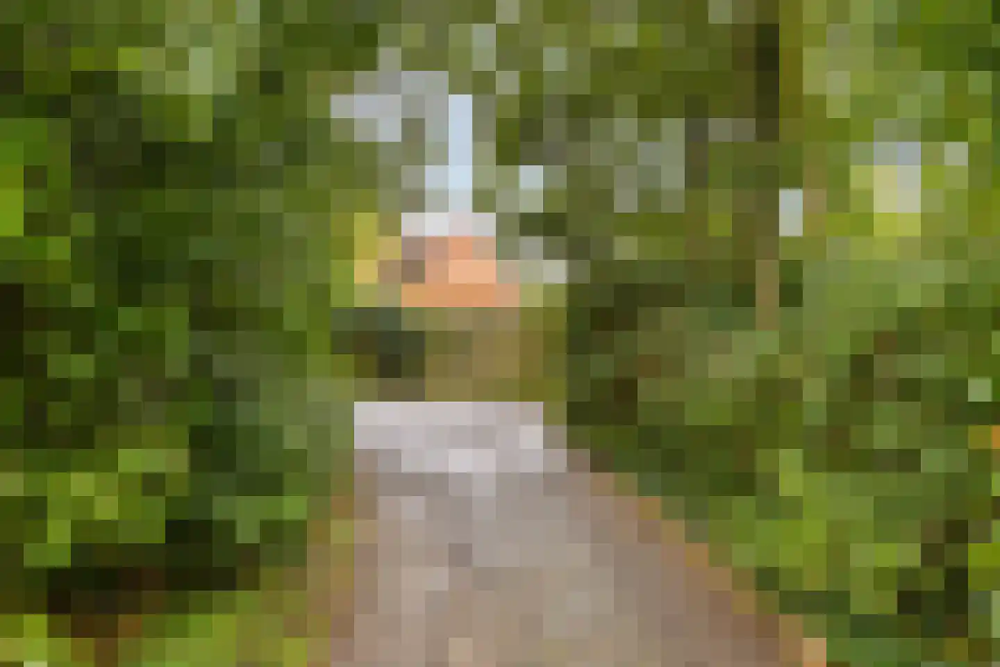 Streeksterpad 9 Wirdum thumbnail 46