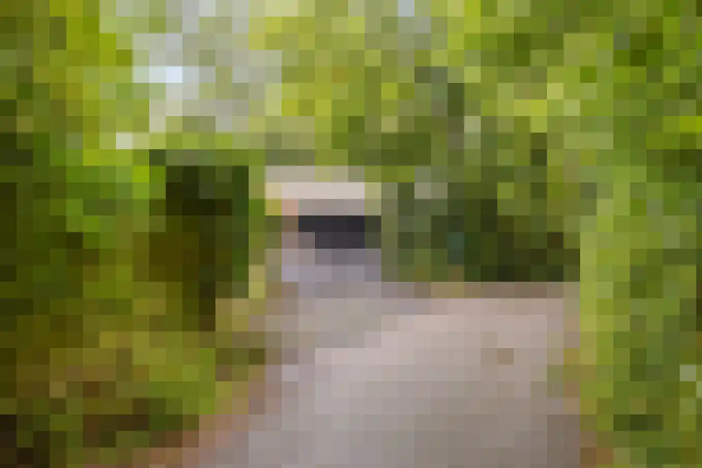 Streeksterpad 9 Wirdum thumbnail 47