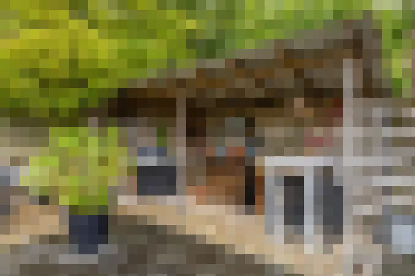 Streeksterpad 9 Wirdum thumbnail 51