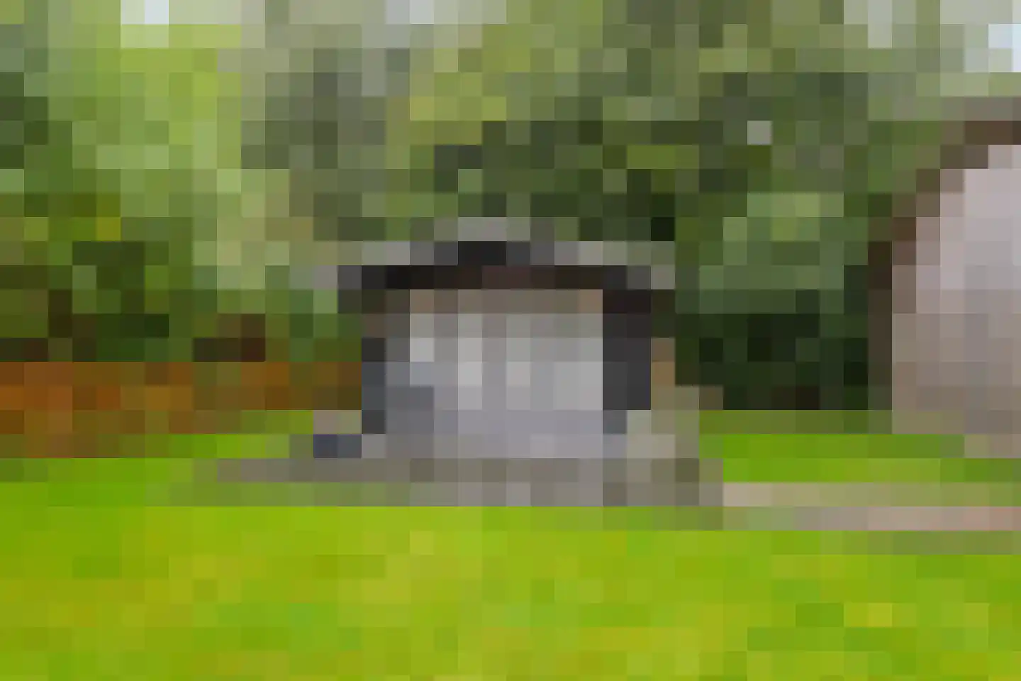 Streeksterpad 9 Wirdum thumbnail 58