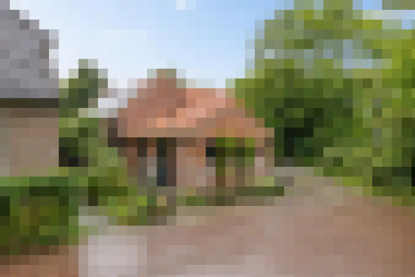 Streeksterpad 9 Wirdum thumbnail 59