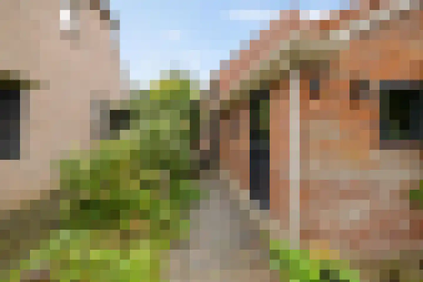 Streeksterpad 9 Wirdum thumbnail 60
