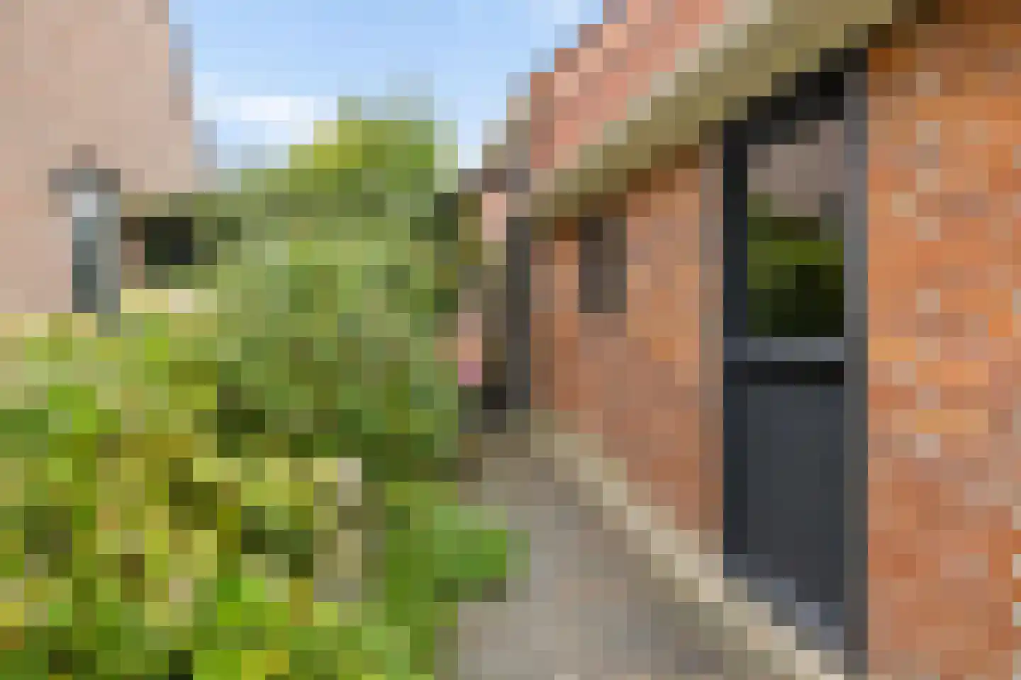 Streeksterpad 9 Wirdum thumbnail 61