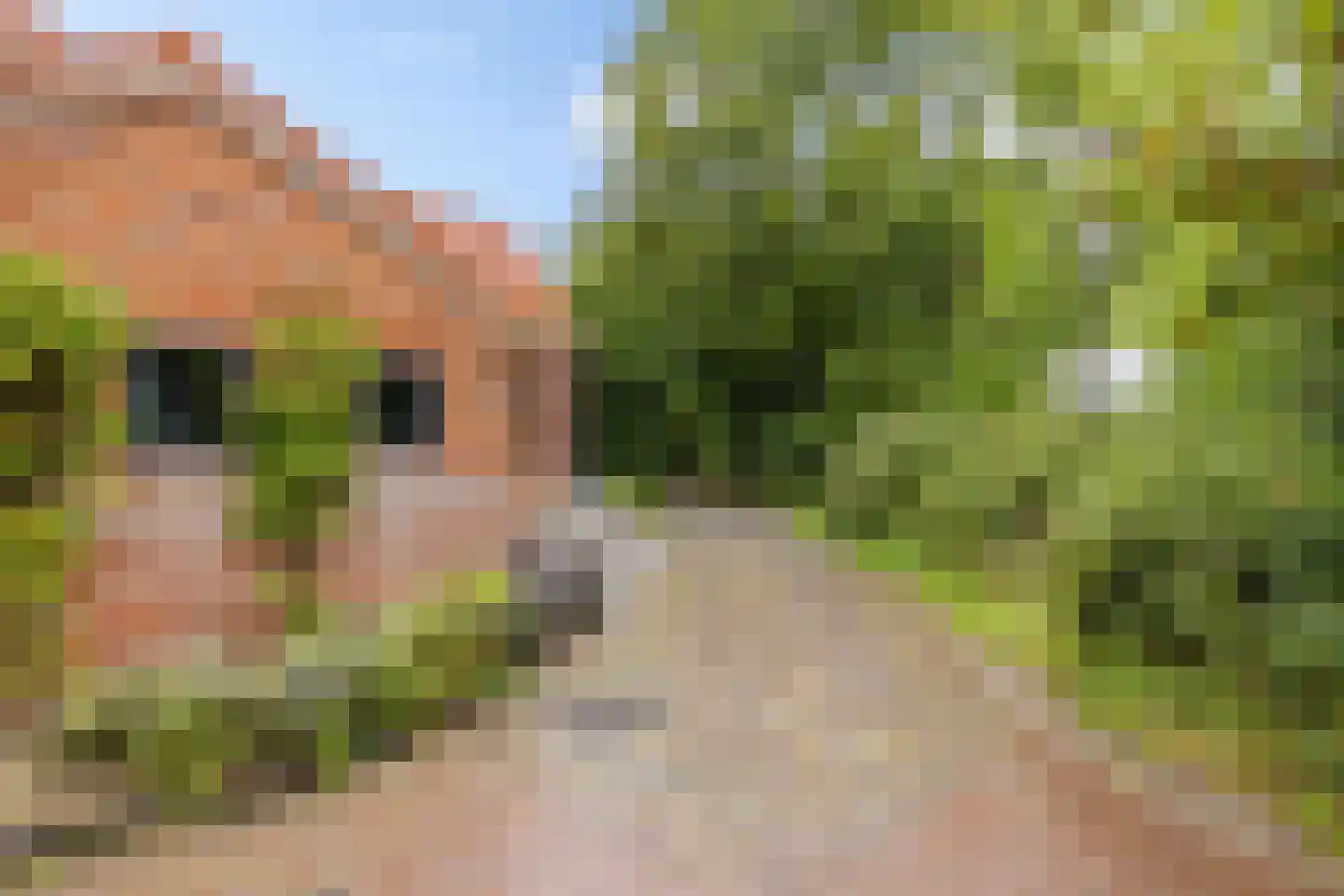 Streeksterpad 9 Wirdum thumbnail 63