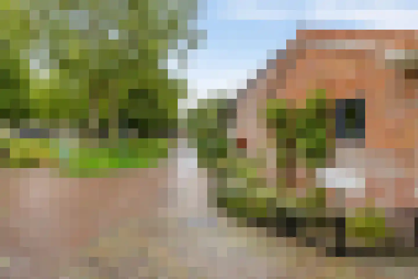 Streeksterpad 9 Wirdum thumbnail 64