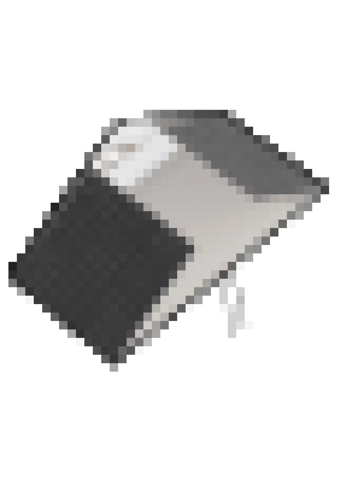Streeksterpad 9 Wirdum thumbnail 77