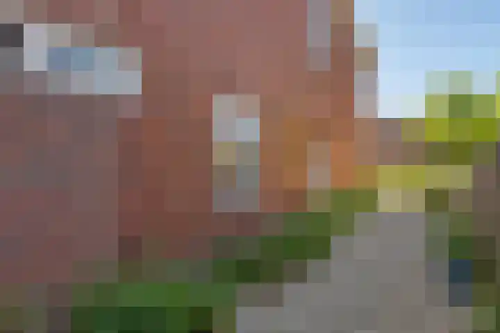 Streeksterweg 11 Usquert thumbnail 47