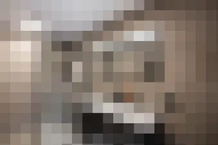 Streeksterweg 15 Usquert thumbnail 13