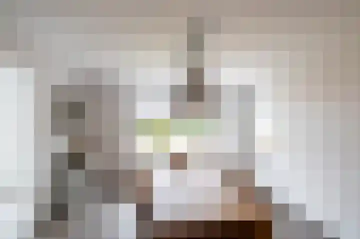 Streeksterweg 15 Usquert thumbnail 21