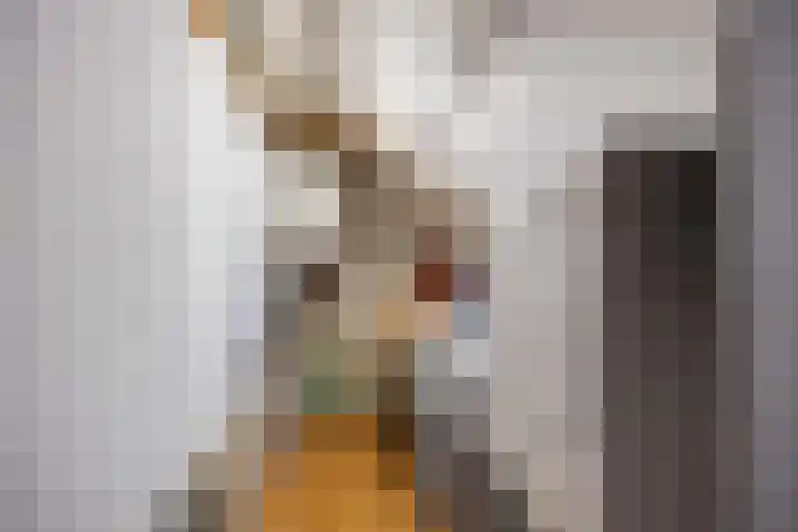 Streeksterweg 35 Usquert thumbnail 12