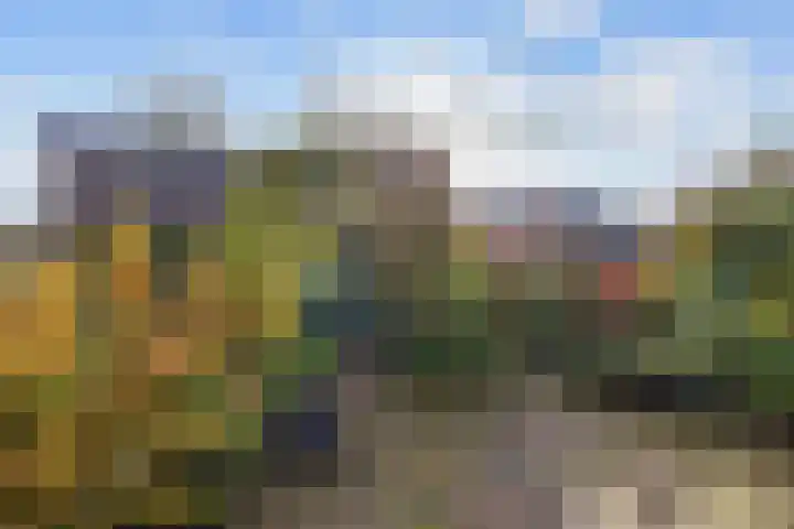 Streeksterweg 35 Usquert thumbnail 27