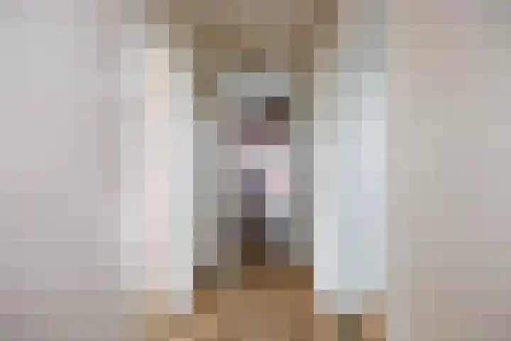 Streeksterweg 35 Usquert thumbnail 5