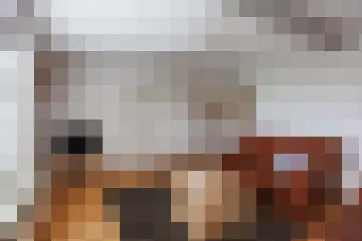 Streeksterweg 35 Usquert thumbnail 8
