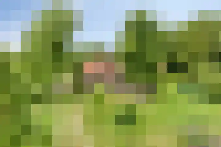 Streekweg 2 Onstwedde thumbnail 12