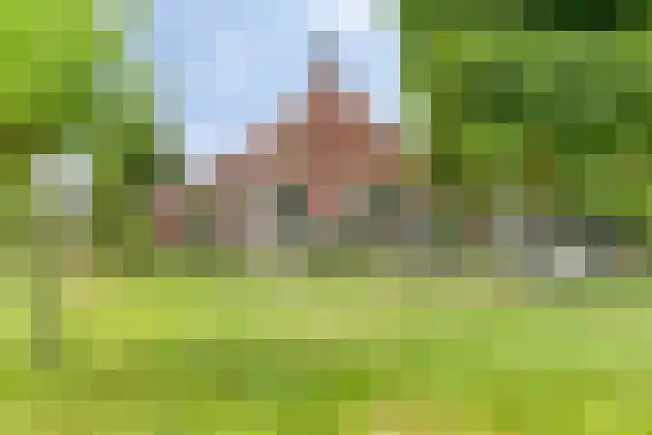 Streekweg 2 Onstwedde thumbnail 14