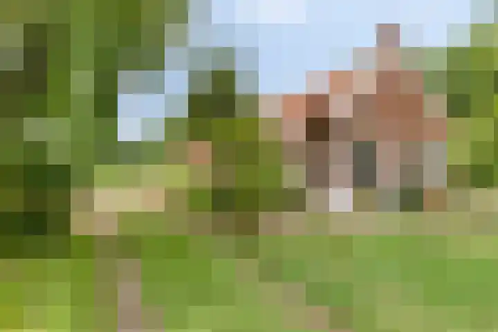 Streekweg 2 Onstwedde thumbnail 15