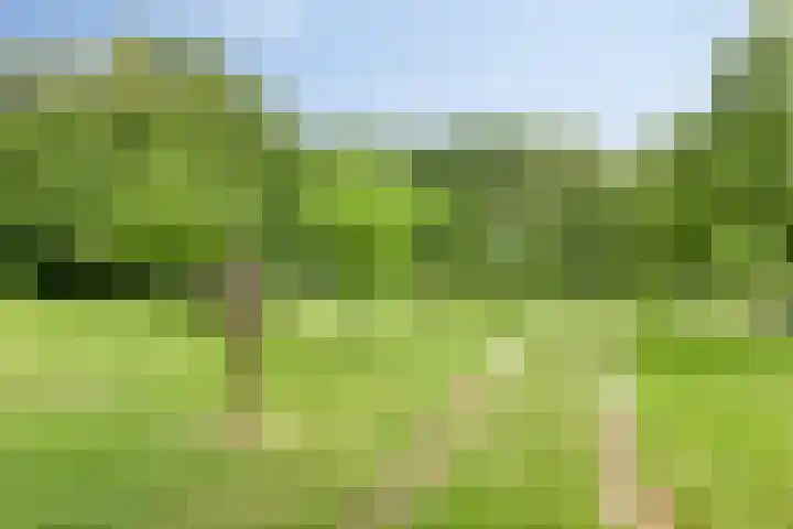 Streekweg 2 Onstwedde thumbnail 16