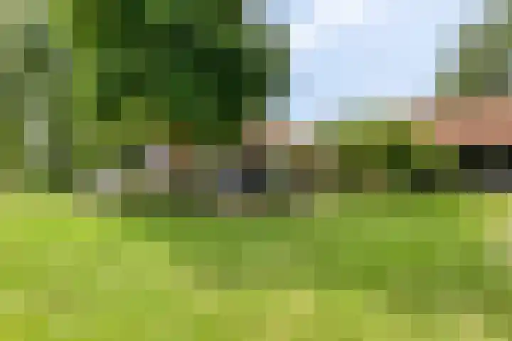 Streekweg 2 Onstwedde thumbnail 19