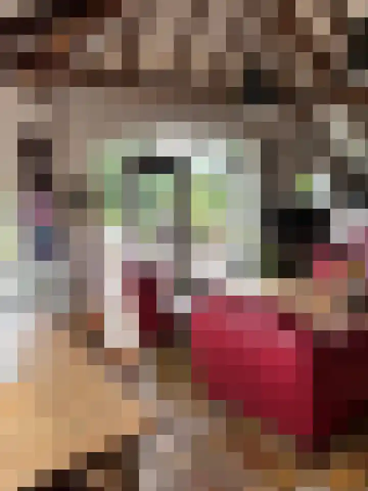 Streekweg 2 Onstwedde thumbnail 40