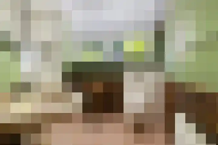 Streekweg 2 Onstwedde thumbnail 44