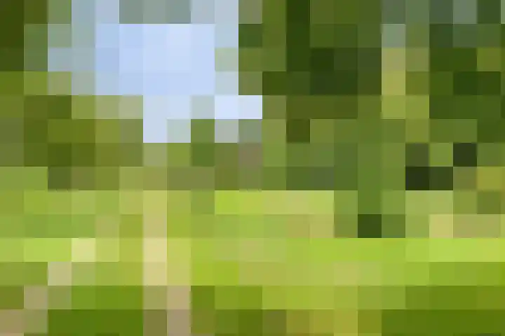 Streekweg 2 Onstwedde thumbnail 5