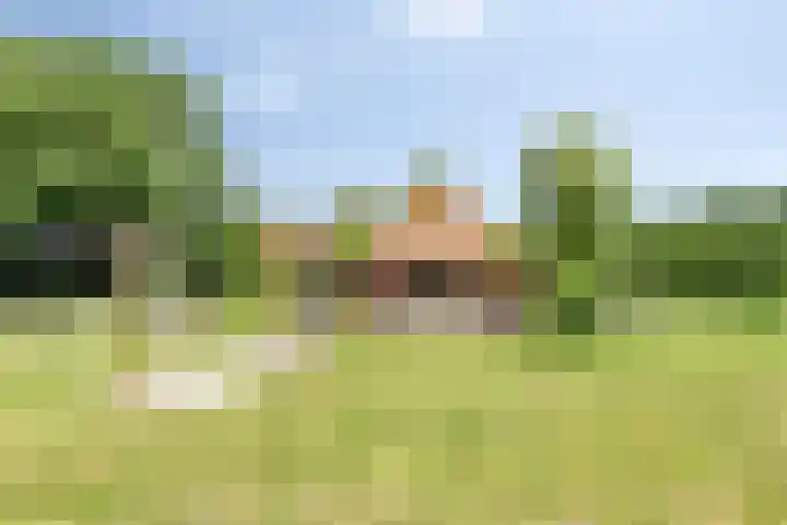 Streekweg 2 Onstwedde thumbnail 54