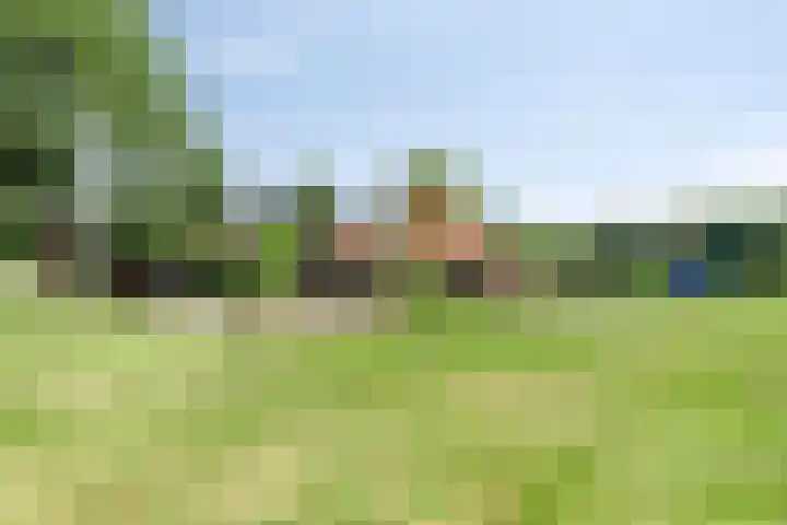 Streekweg 2 Onstwedde thumbnail 57