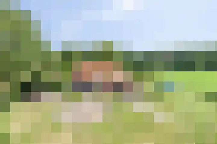 Streekweg 2 Onstwedde thumbnail 60