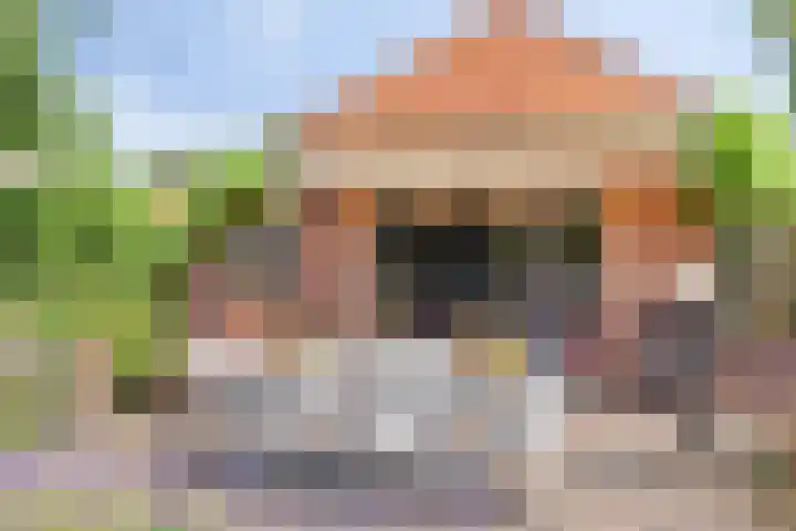 Streekweg 2 Onstwedde thumbnail 62