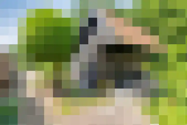 Streekweg 2 Onstwedde thumbnail 64