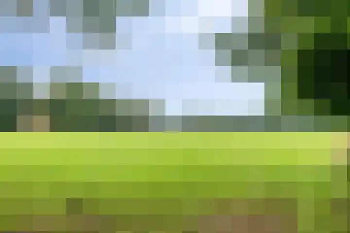 Streekweg 2 Onstwedde thumbnail 65